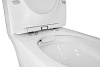 Унитаз монолит Azario Prime AZ-1363OP, безободковый, сиденье микролифт купить в СОМ