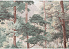 Обои виниловые на флизелиновой основе 72703-71TC PALITRA TREND Энергия леса, 1.06 х 10.05 м . купить в СОМ